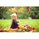 Честные отзывы о Детский сад № 1927 в Москве