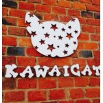 Честные отзывы о Курсы парикмахеров KAWAICAT