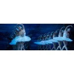 Честные отзывы о Шоу "лебединое озеро "с Плющенко