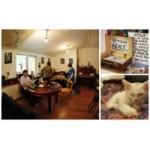 Честные отзывы о Кафе "Дом на дереве"