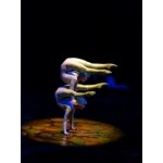 Честные отзывы о Cirque du Soleil