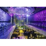 Честные отзывы о Сити Клаб Интернешнл