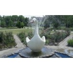 Честные отзывы о Детский лагерь «Лебедь»