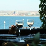 Честные отзывы о Наутилус Fish organic