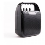 Честные отзывы о Караоке-система Atom KS-1100