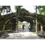 Честные отзывы о Сафари парк в Краснодаре