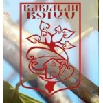 Честные отзывы о Детский лагерь Карельская березка