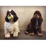 Честные отзывы о ЛОЦС Фрэнд