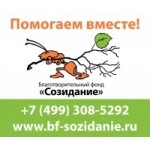 Честные отзывы о "Созидание" - благотворительный фонд