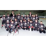 Честные отзывы о ArenaHD