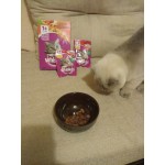 Честные отзывы о Корм для кошек Вискас