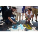 Честные отзывы о Закон о люстрации в Украине