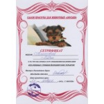 Честные отзывы о Зоосалон Филимон