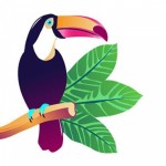 Честные отзывы о Фитнес-клуб Амазония