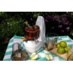 Честные отзывы о Шнековая соковыжималка Dream Juicer manual