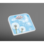 Честные отзывы о Весы ЛАДОМИР НА202