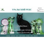 Честные отзывы о Уральский рекс - гипоаллергенные кошки