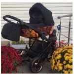 Честные отзывы о Детская коляска Junama Diamond Mirror 2 в 1