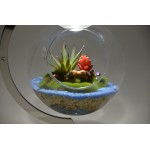 Честные отзывы о Apeyron fito