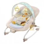 Честные отзывы о Детское кресло-шезлонг "Уточка" Bright Starts