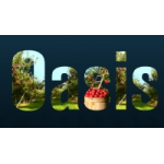 Честные отзывы о ООО"Оазис Групп"