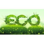 Честные отзывы о Компания GC ECO