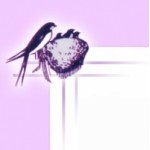 Честные отзывы о Ласточка кадровое агентство