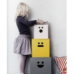 Честные отзывы о Коробки для хранения Woodley