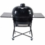 Честные отзывы о Керамический гриль Primo Junior All in One