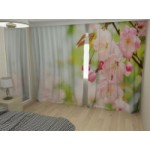 Честные отзывы о Фотошторы "Колибри"