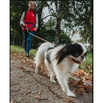 Честные отзывы о Гульдог: выгул, передержка, няня для собак