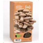 Честные отзывы о Домашняя грибница "Вешенки"