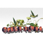 Честные отзывы о Служба доставки цветов Cyber-flora