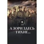 Честные отзывы о А зори здесь тихие... (2015)