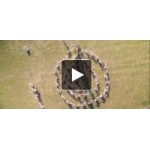 Честные отзывы о Солнцестояние/ MIDSOMMAR (2019)