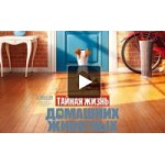 Честные отзывы о Тайная жизнь домашних животных