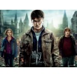 Честные отзывы о Гарри Поттер и Дары смерти: Часть II