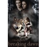 Честные отзывы о Сумерки. Сага. Рассвет: Часть 2