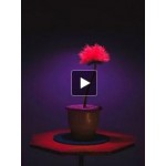 Честные отзывы о Малыш Джо (2019)