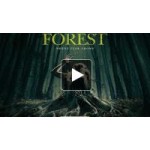 Честные отзывы о Фильм "Лес призраков" 2016